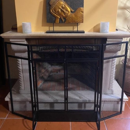 Metal fire screen fireplace - fire,
