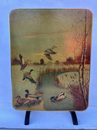 Vintage peter scott - peter, mallard